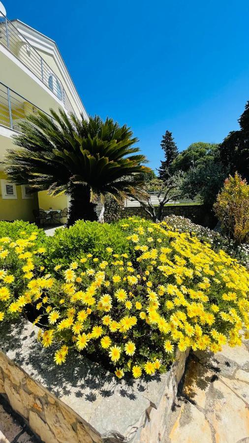 Villa Maestral Zadar Eksteriør bilde