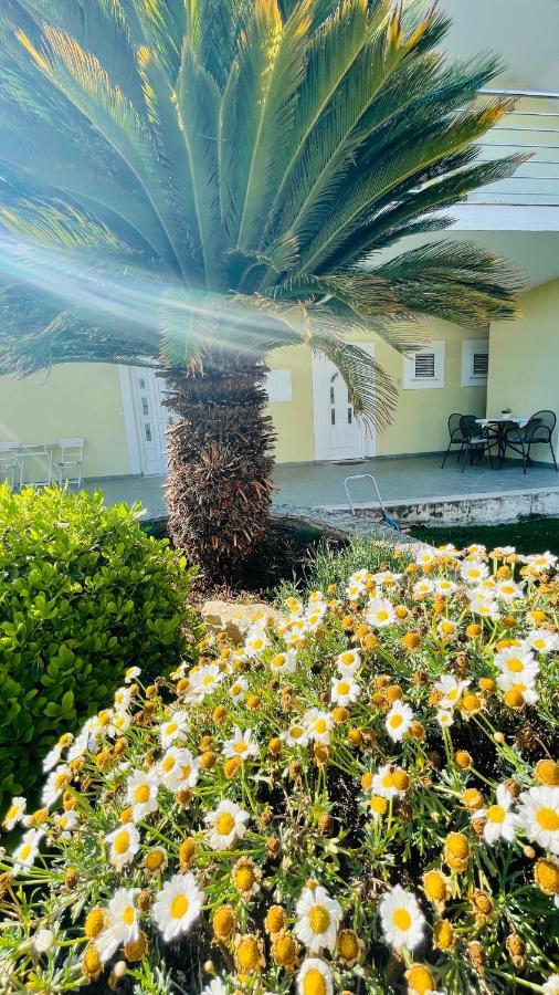 Villa Maestral Zadar Eksteriør bilde